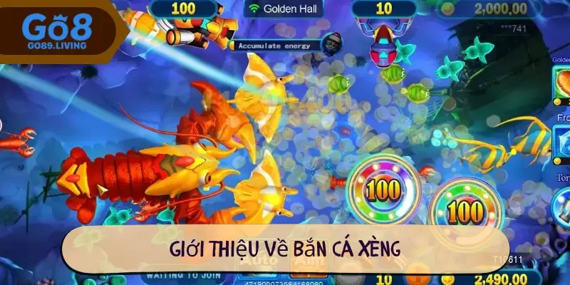 Giới thiệu về Bắn cá xèng