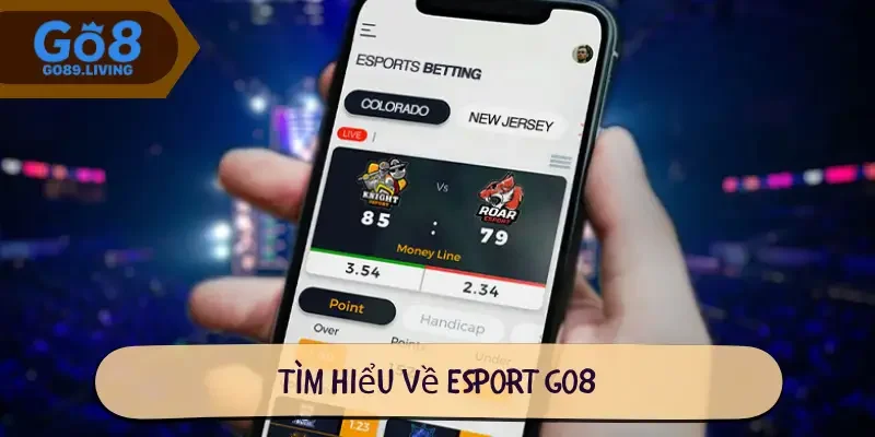 Tìm hiểu về Esport Go8