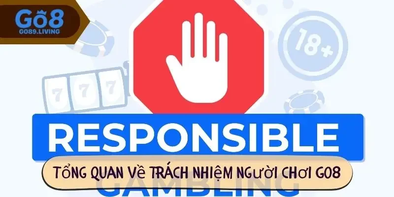 Tổng quan về trách nhiệm người chơi Go8
